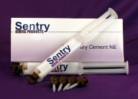 Sentry Temporary Cement Sentry Temporary Cement
